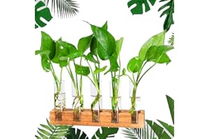 WASAIGGON Plant Propagation Stations Terrarium with Wooden Stand-Desktop Glass Bulb Plant Vase for Propagating Hydroponic Plants Home Garden Office Decor (Style 2)