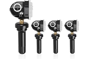 RENECTIV TPMS Sensor,315MHz Tire Pressure monitoring sensors compatible with Ford F150 Ecosport Mustang Escape Explorer, Lincoln MKC MKX MKZ Navigator Replace# F2GT1A180AB F2GT1A150AB F2GZ1A189A ,set of 4