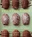 The Essential Baker: The Comprehensive Guide to Baking with Chocolate, Fruit, Nuts, Spices, and Othe by Carole Bloom
