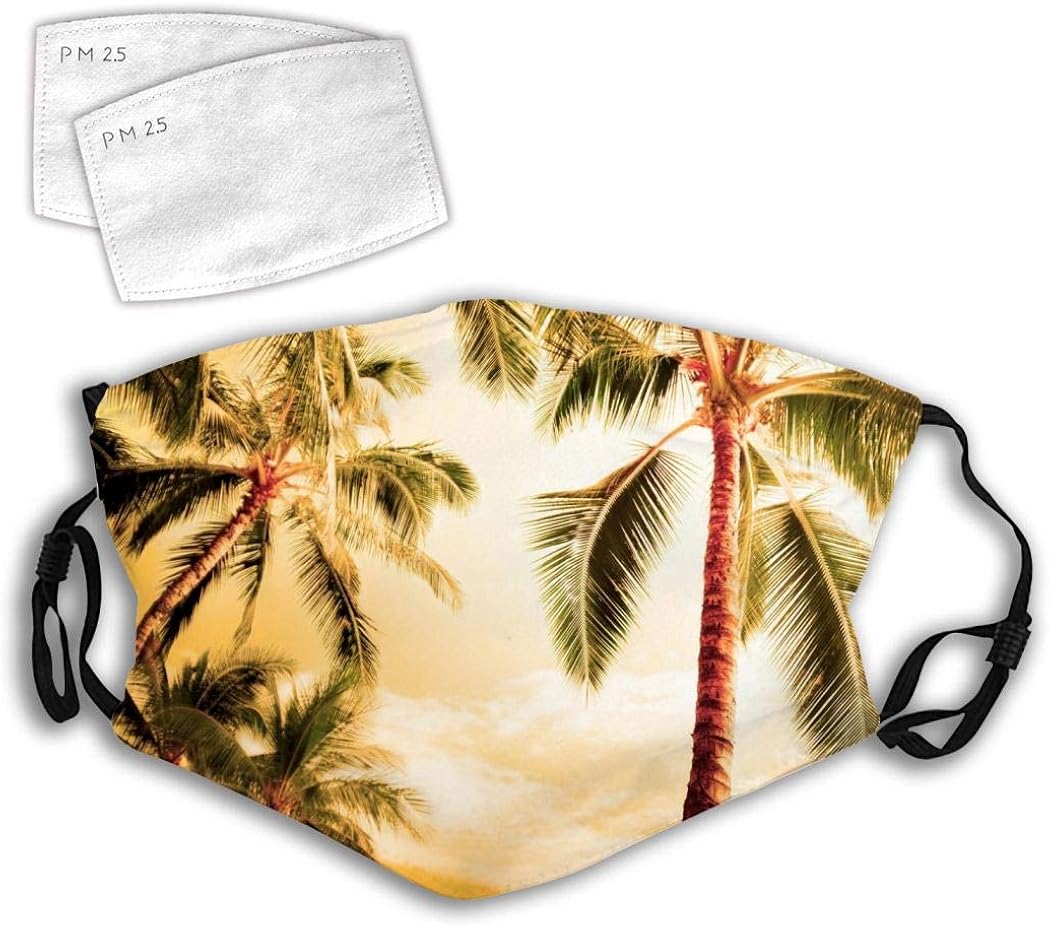 MOSDELU Sunset Landscape Summer Reusable Face Guard with 2 Pcs Replaceable Activated Carbon Filter