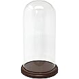 BANBERRY DESIGNS Glass Dome with Wood Base - Clear Glass Display Cloche - Bell Glass Cover Measures 11" H x 5 1/8" D - Wooden Base is 6.5" D