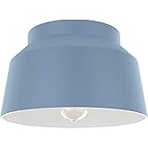 Hunter - Cranbrook 1-Light Indigo Blue, Medium Size Flush Mount Light, Dimmable, Modern Style, Bell Shaped, for Bedrooms, Kit
