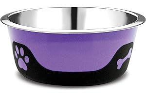 PALZ&CO Thermocool Stainless Steel Dog Bowls, Non Slip, No Spill Insulated Dog Bowl, Keeps Food Warm & Water Cold for Dogs, Dishwasher Safe (Purple, Medium 16 Oz)