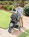 Graco Modes Sport Click Connect Stroller, Basin