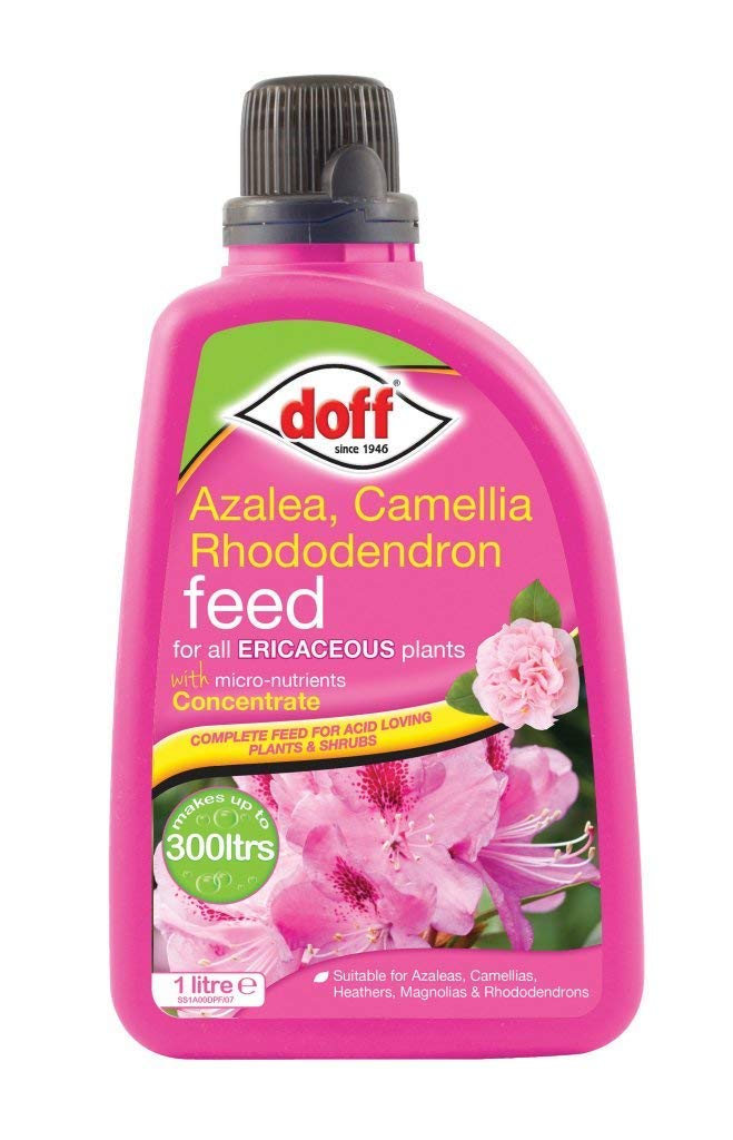 Doff Ericaceous Plant Feed - Concentrate 1L