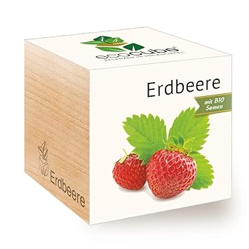 Feel Green Ecocube Erdbeere, Bio Samen, Nachhaltige Geschenkidee (100% Eco Friendly), Grow Your Own/Anzuchtset, Pflanzen Im H