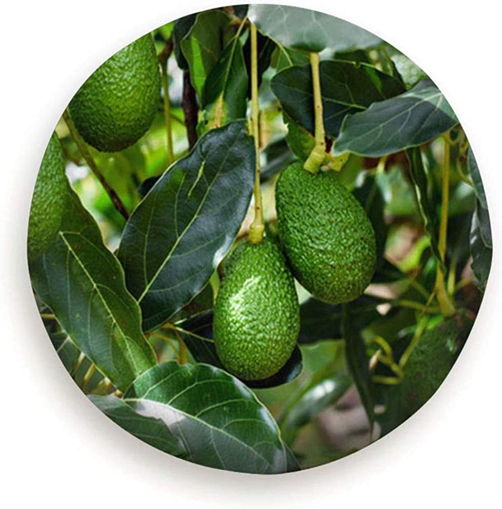 Dem Boswell Green HASS Avocados Fruit Hanging Tree Nature Avocado Polyester Waterproof Spare Tire Cover