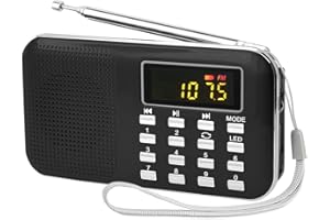 Leting Radios Portable AM FM with MP3 Speaker, Portable Radio Support Micro SD/TF Card/USB/Music Recording,Rechargeable Battery Powered AM FM Radio,Mini Radio with Best Reception (Black)