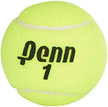 Penn Championship Tennis Balls - Extra Duty Felt Pressurized Tennis Balls - (2 Cans, 6 Balls) : Sports & Outdoors