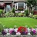 Garden Solar Lights Outdoor Decorative - 3 Pack Multi-Color Changing LED Landscape Solar Lights, with a White LED Stake Light Butterfly Hummingbird Dragonfly for Garden Patio Pathway Backyard
