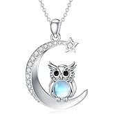 OUTANG Moonstone Owl Necklace for Women 925 Sterling Silver Moon Owl Pendant Necklaces Moonstone Animal Jewelry Gifts for Mom Wife