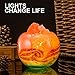 Salt Lamp YunYiSmart Hand Carved Himalayan Salt Lamp, Dimmer Switch, Glass Container No rusted No corroded (5.5 lbs,UL-Listed,2 Bulbs Included)