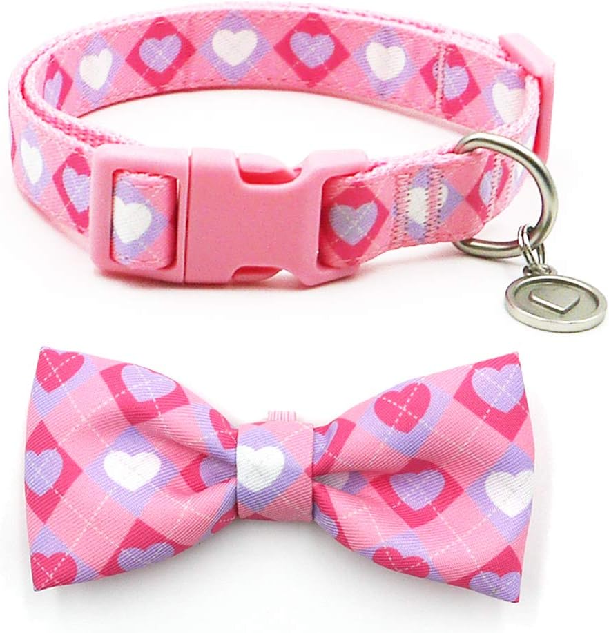 Amazon.com : azuza Dog Collar Bow tie 