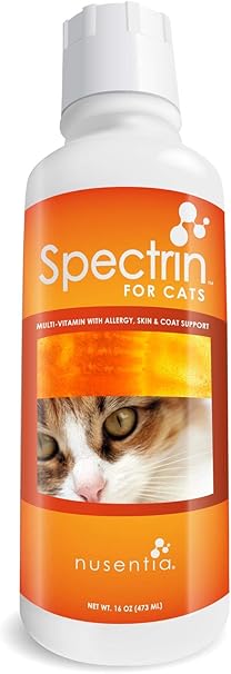 liquid cat food for senior cats