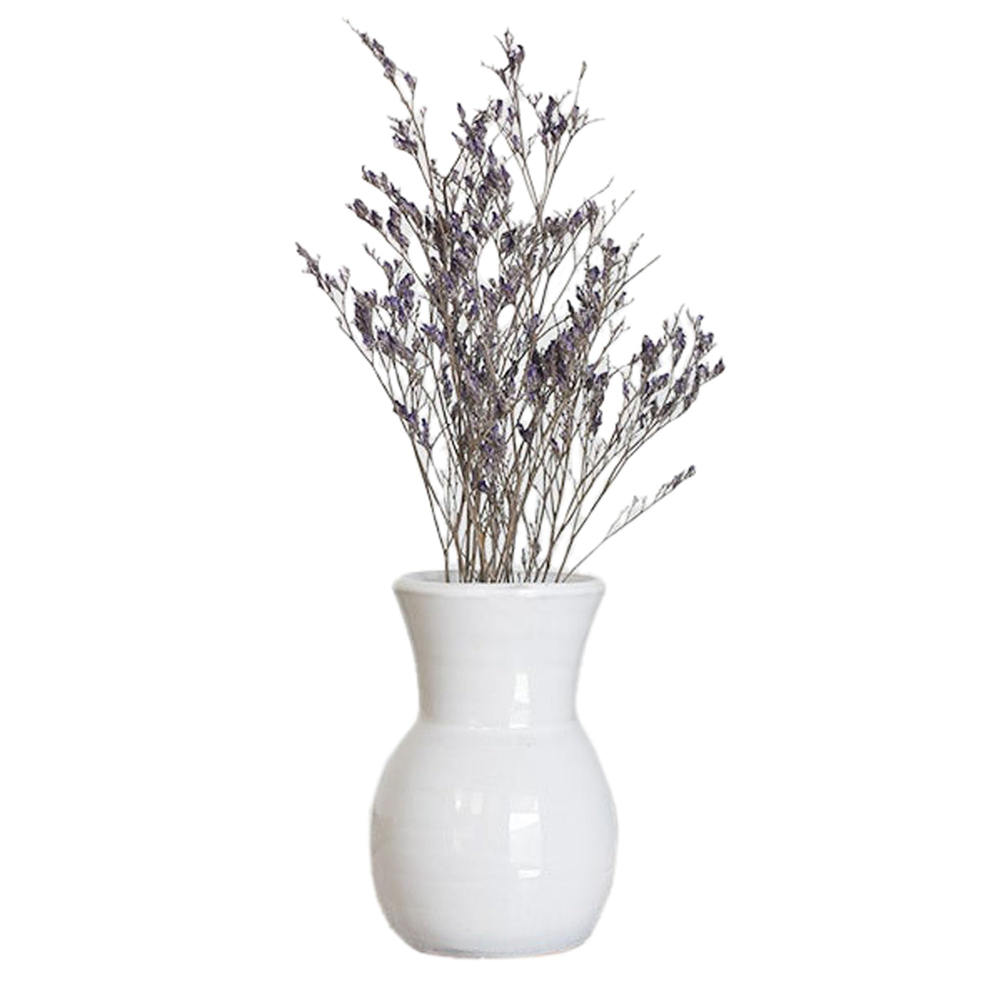 Photo 1 of 100 North PD Home & Garden Decorative and Functional Décor 5 x 3 inch Ceramic Wide Mouth Jar Flower Pot Vase, Glossy White