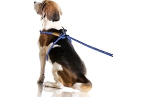 Lynxking No Pull Rope Dog Harness No Pull Reflective Leash Harness Collar 3 in 1 Dog Halter Harnesses Adjustable for Large Giant Dog (Blue, Large 1/2 inch)