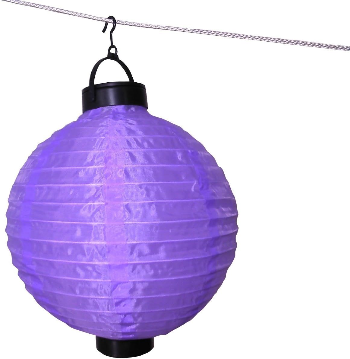 Chinese Lantern - Purple