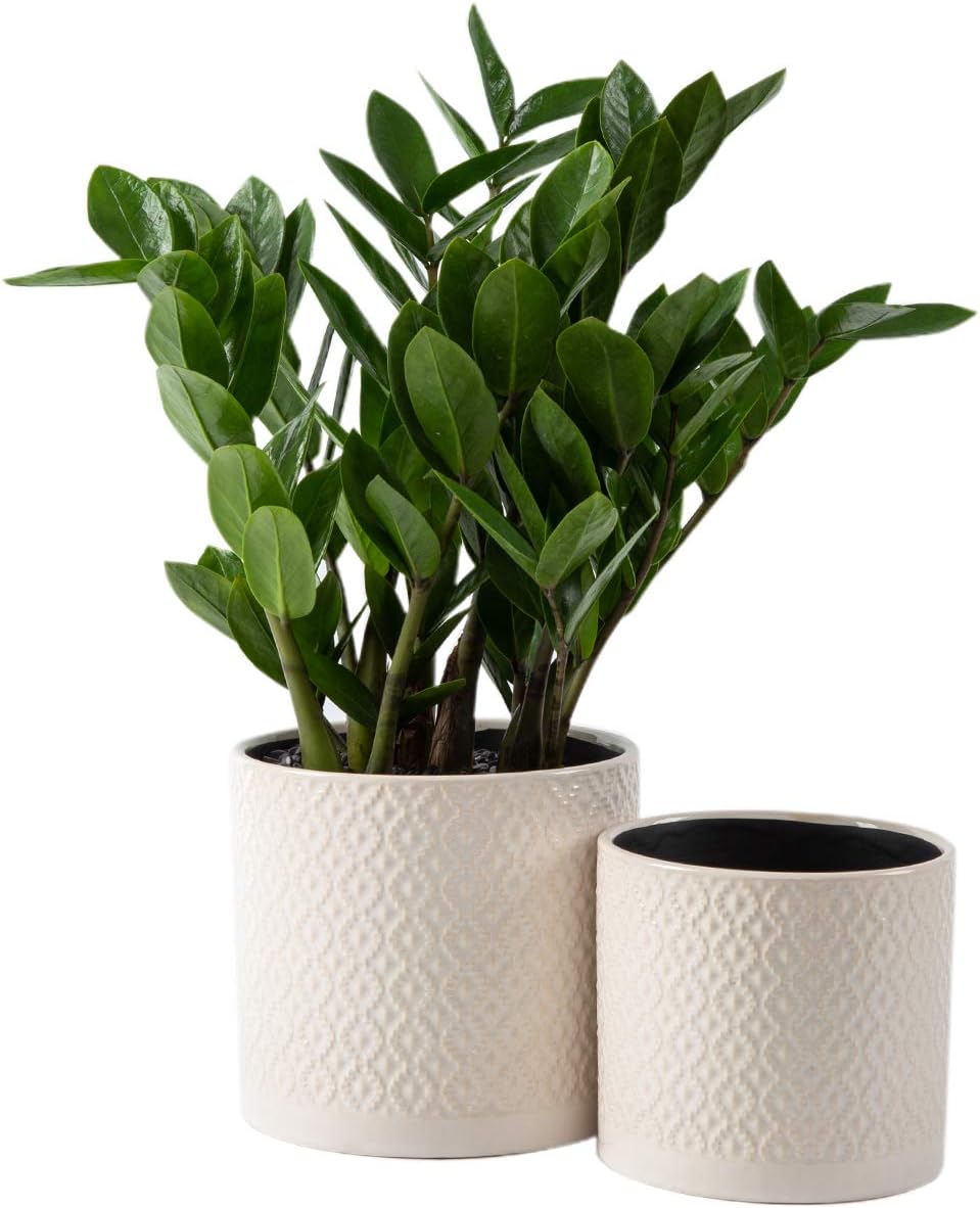 KYY Ceramic Planters Garden Flower Pots 6.5