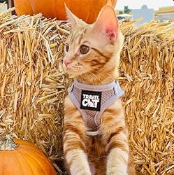Travel Cat Harness and Leash Set - Adjustable Soft
