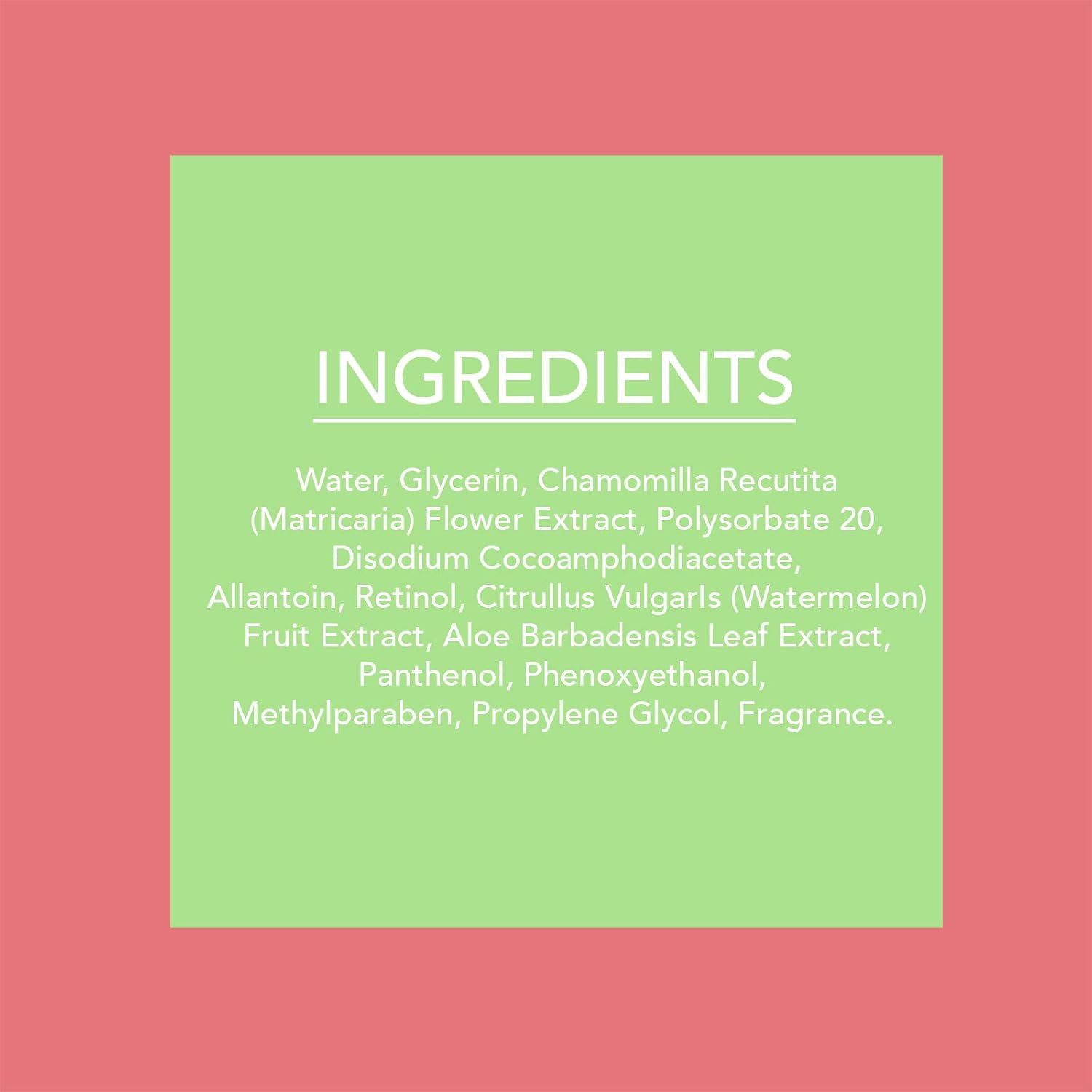 Beauty Concepts - 2 Pack (60 Count Each) Slice of Summer watermelon Detoxifying Facial Wipes: Beauty