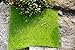 SUN-E 4 Pcs Life-Like Fairy Artificial Grass 6''x 6'' Miniature Ornament Garden Dollhouse Garden DIY Grass Home Office School Indoor Decoration