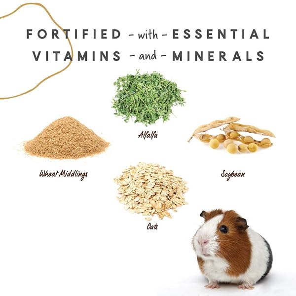 MANNA PRO GUINEA PIG FEED – WITH VITAMIN C – COMPLETE FEED FOR GUINEA PIGS – NO ARTIFICIAL COLORS OR FLAVORS – 5 LB