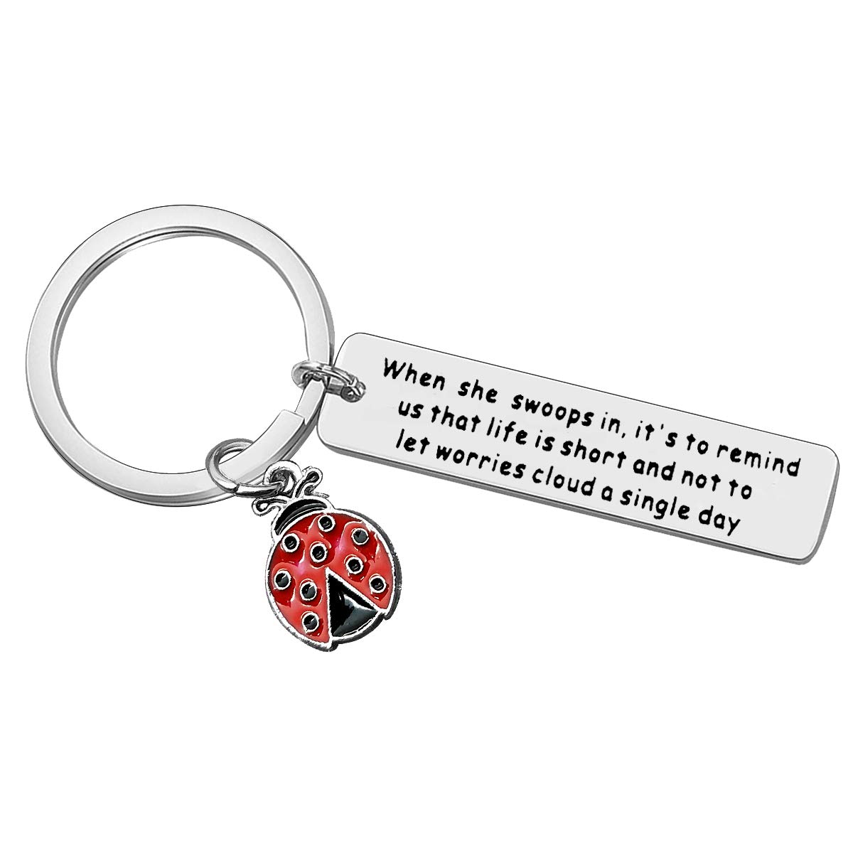 Vadaka Inspirational Gift for Women Girls Teens Funny Ladybug Lover Encouragement Keyring Ladybug Gift Keyring Keychain Graduation Christmas Anniversary Birthday Present for Women Friend