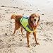 Outward Hound Standley Sport Dog Life Jacket, High-Performance Ripstop Dog Life Vest for Swimming, Boating, and Water Safety, Large, Green