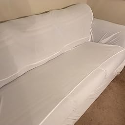 Amazon Com Customer Reviews Cleanbrands Bed Bug Allergen
