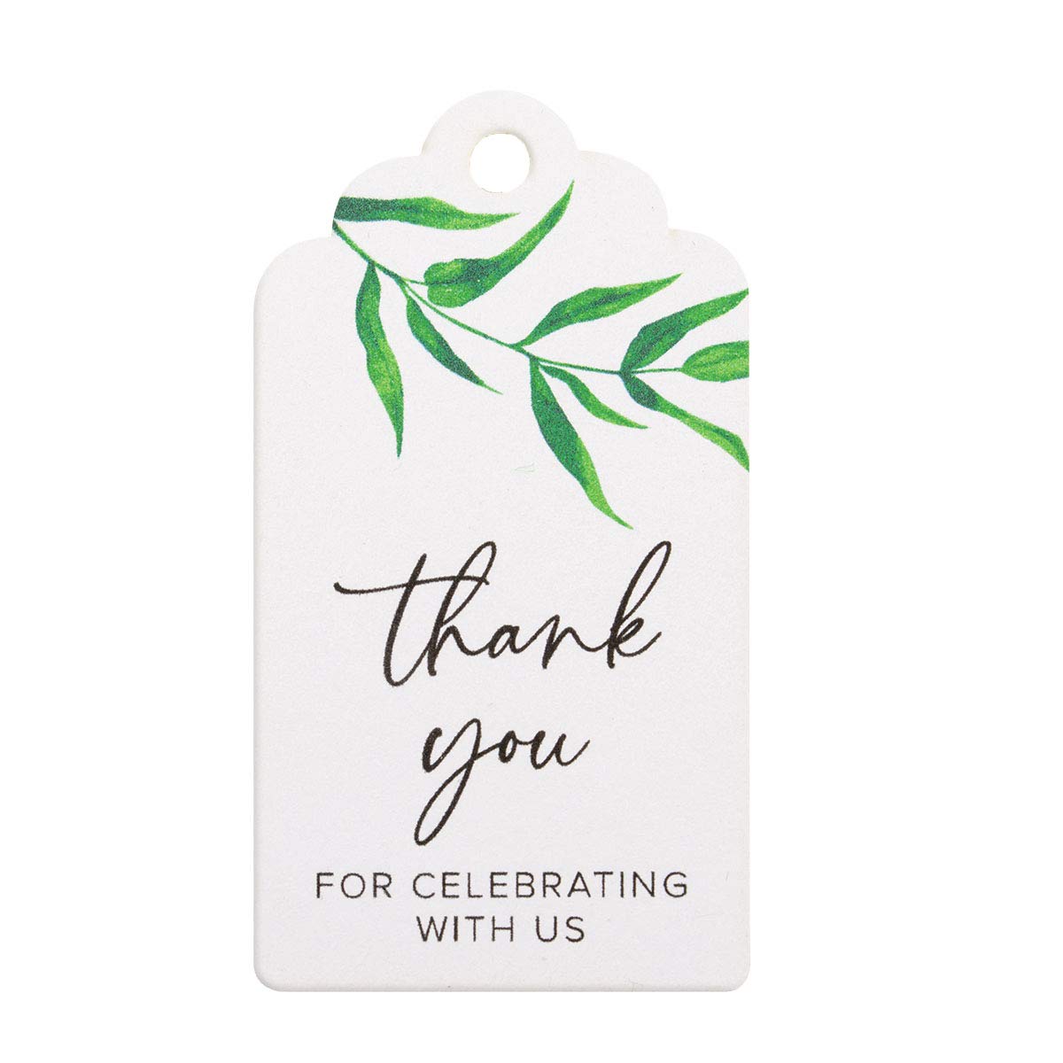 Summer-Ray 50pcs Thank You for Celebrating with Us Gift Tags with Water Colour Willow Leaves Wedding Favours Tags