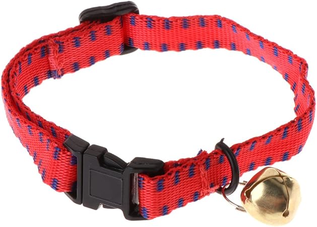 dog collar anti flea