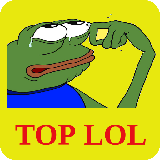 TOP LOL Funny Videos and Gifs