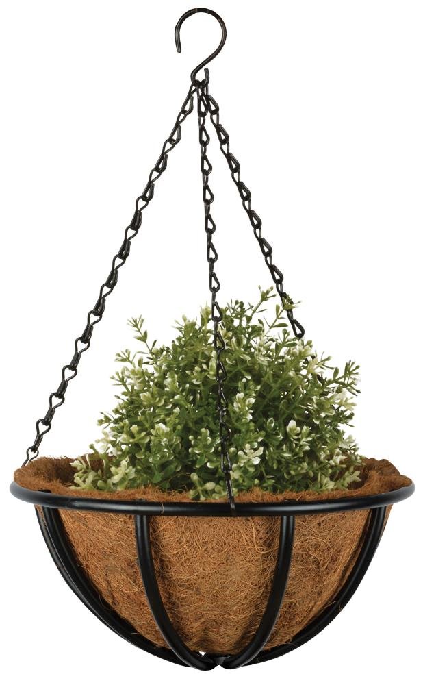 Fallen Fruits 10" Hanging Basket