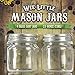 Wee Little Mason Jars with Lids – For Food, Drinks, and Decoration – Clear Glass, No Markings – 100% Crack-Free Guarantee – Dishwasher Safe – 2.5 Ounces – 4-Pack