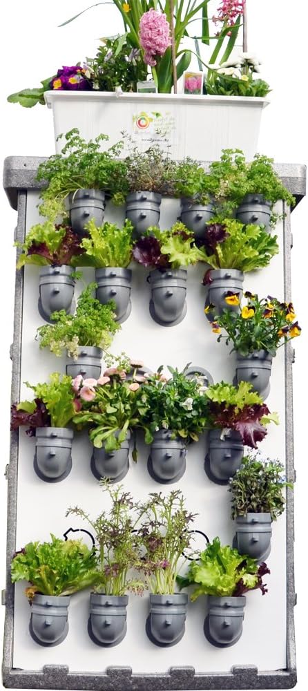 i3-Benjamin Starter-Kit jardín Vertical: Amazon.es: Jardín