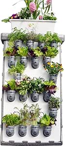 i3-Benjamin Starter-Kit jardín Vertical: Amazon.es: Jardín