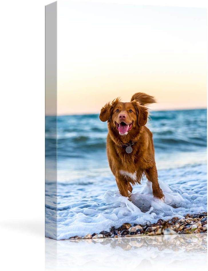Wall Décor - NWT Custom Canvas Prints with Your Photos for Pet/Animal, Personalized Canvas Pictures for Wall to Print Framed 14x11 inches