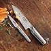 Global 2-Piece Knife Set G-5846