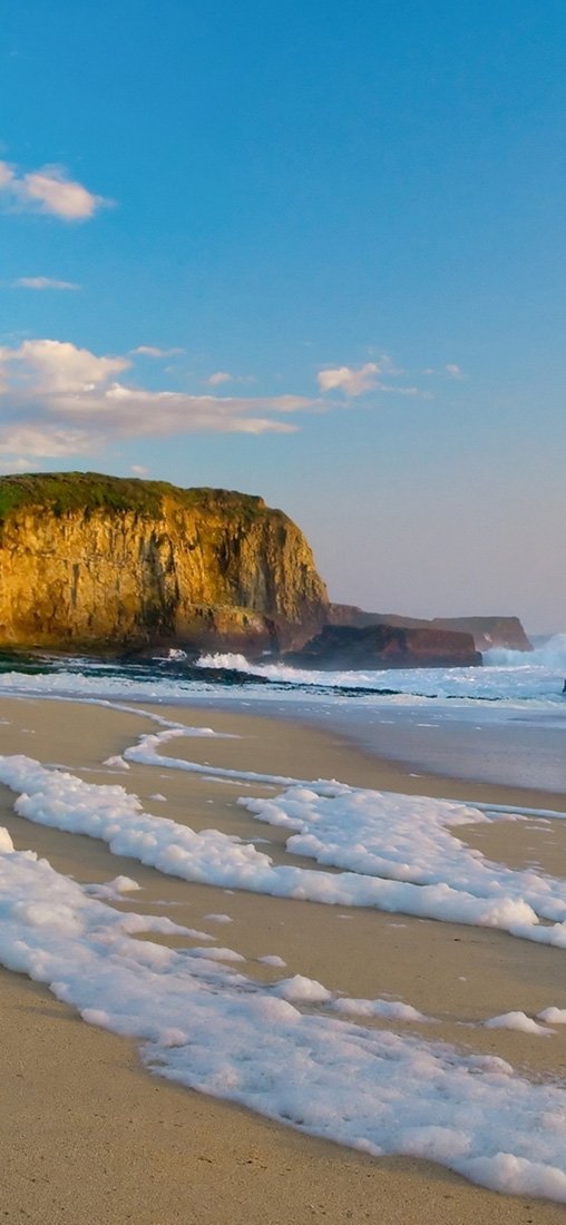 PeelitStickit, Beautiful Nature Wall Murals, ID-2868, vinyl