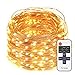 LED String Lights Dimmable with Remote Control, 66ft 200 LEDs Waterproof Christmas Decorative Lights for Bedroom, Balcony, Patio, Garden, Party, Wedding (Copper Wire, Warm White)