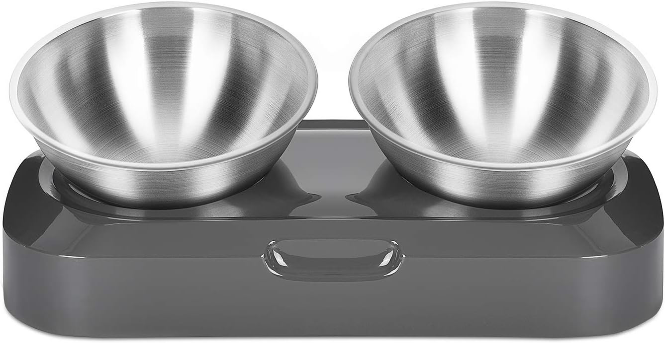 EZMioo Elevated Cat Bowls with 2 Stainless Steel Bowls, 15° Tilted Raised Cat Food and Water Bowls, Stress Free Food Grade Material, Nonslip No Spill Pet Feeding Bowls for Cat and Small Dogs