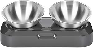 EZMioo Elevated Cat Bowls with 2 Stainless Steel Bowls, 15° Tilted Raised Cat Food and Water Bowls, Stress Free Food Grade Material, Nonslip No Spill Pet Feeding Bowls for Cat and Small Dogs