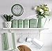 Living Nostalgia KitchenCraft LNTEAGRN Metal Tea Caddy, 11 x 17 cm (4