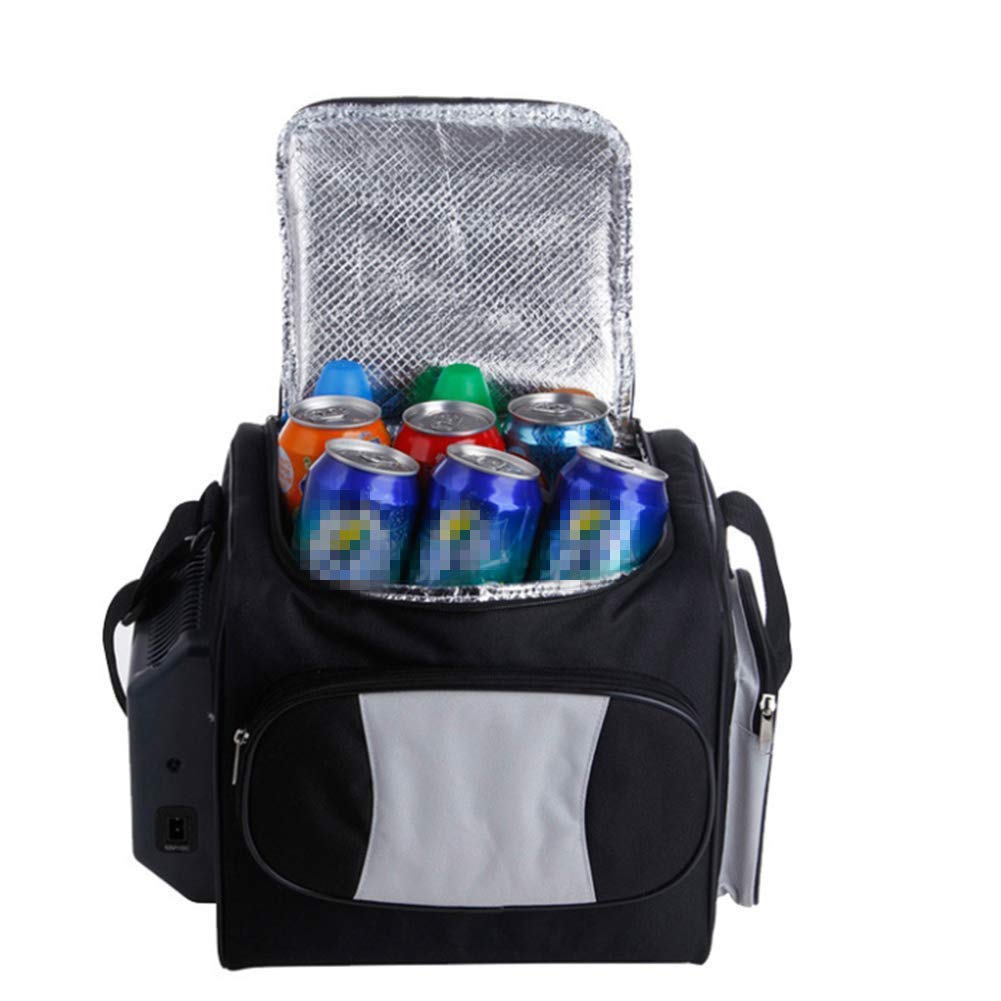 Amazon.es: HYMZP Nevera Coche, 12L del Coche eléctrico Cool Box ...