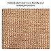 Cat Scratcher Mat, Natural Sisal Cat Scratching Carpet Pad, Floor Scratching Rug, Anti Slip Cat Scratching Mat for Cat Grinding Claws & Protecting Furniture (23.6
