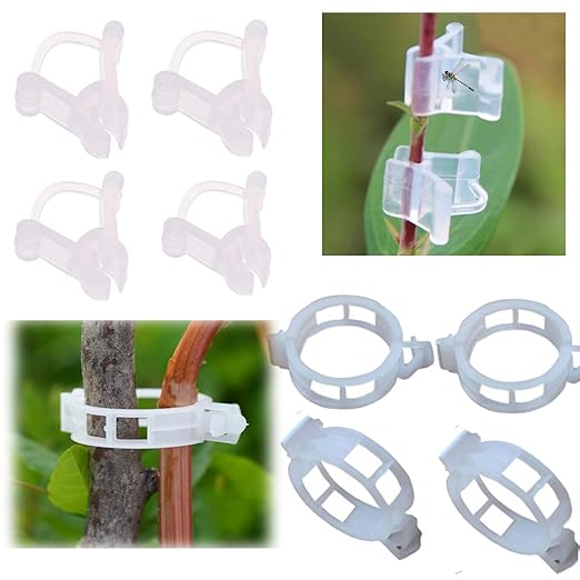 100 pcs soporte para plantas jardín clips, 50 tomates Vine Clips y ...