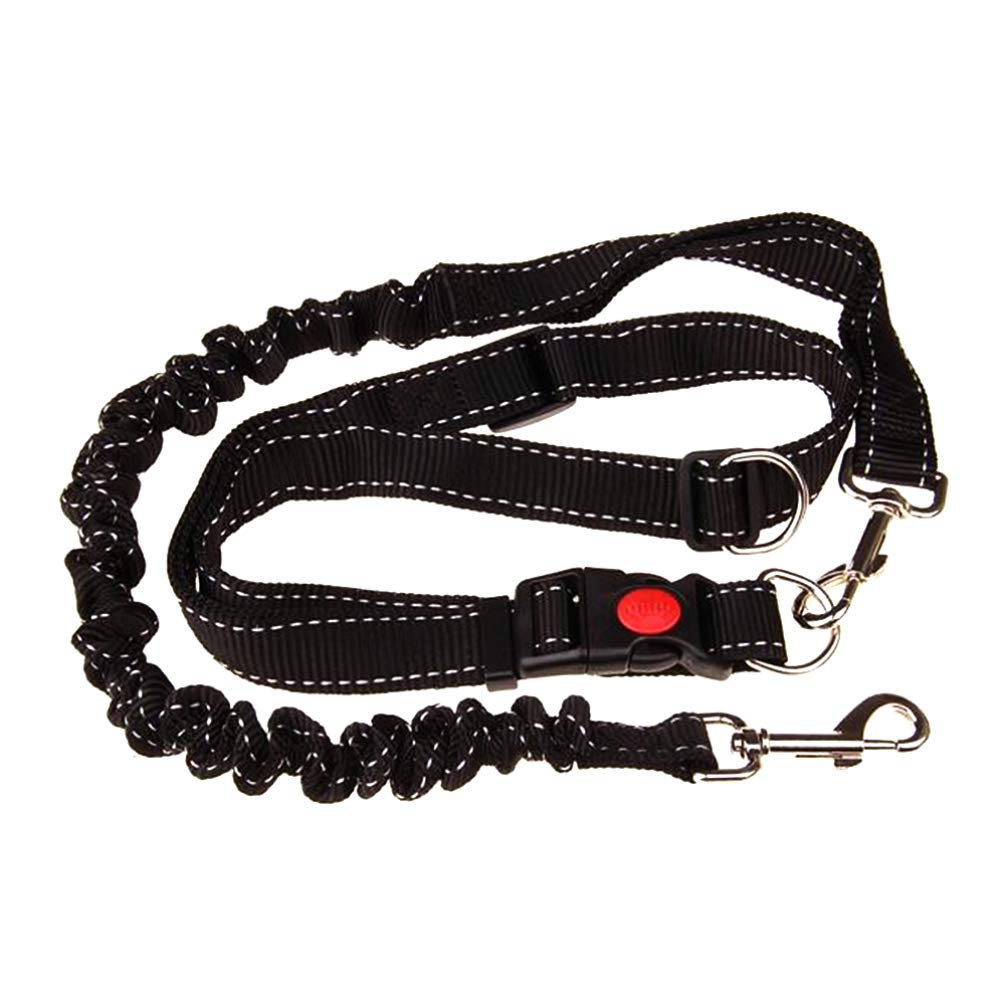 Dog Leash Training- Dog, Adjustable Puppy Leash, Hands for Jogging, Running, Training, Hiking