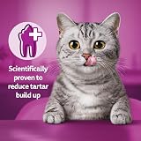 Whiskas Dentabites Cat Treats with Tasty Chicken 40 g Pack of 6 view 7