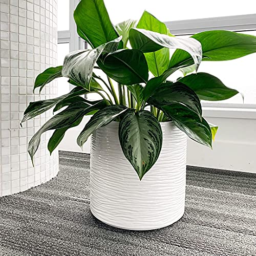 DEARDESIRES 10 inch Ceramic Plant Pot, Indoor Outdoor White Flower Pot