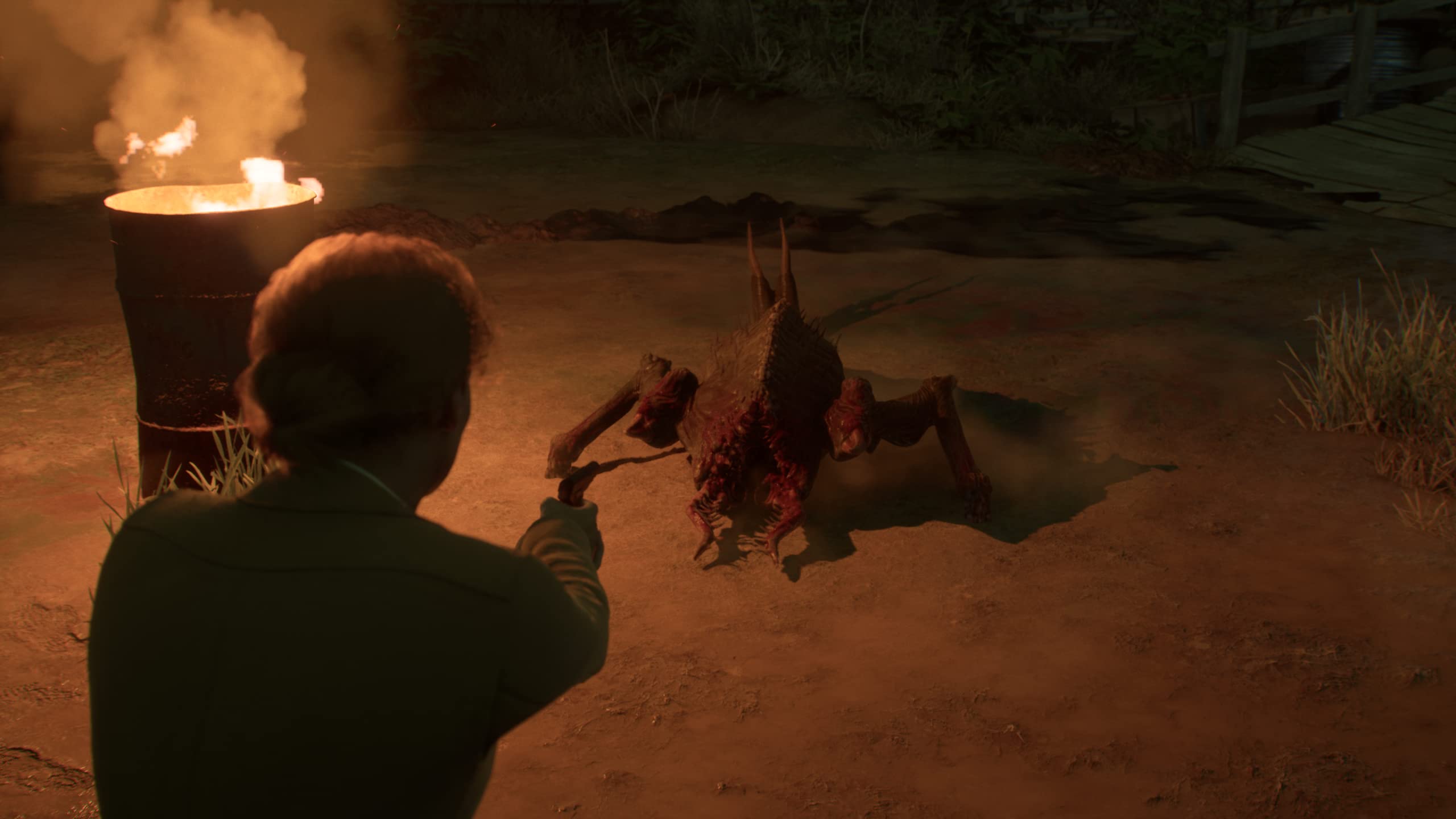 Alone in the Dark - PlayStation 5 5